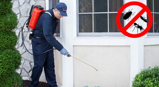 Arpaçay Fare İlaçlama böcek ilaçlama ve haşere kontrolü — ilaclama-tr.com